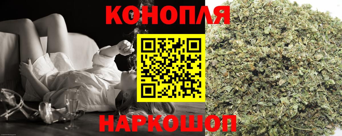 Бошки Шишки MAZAR Новоалтайск